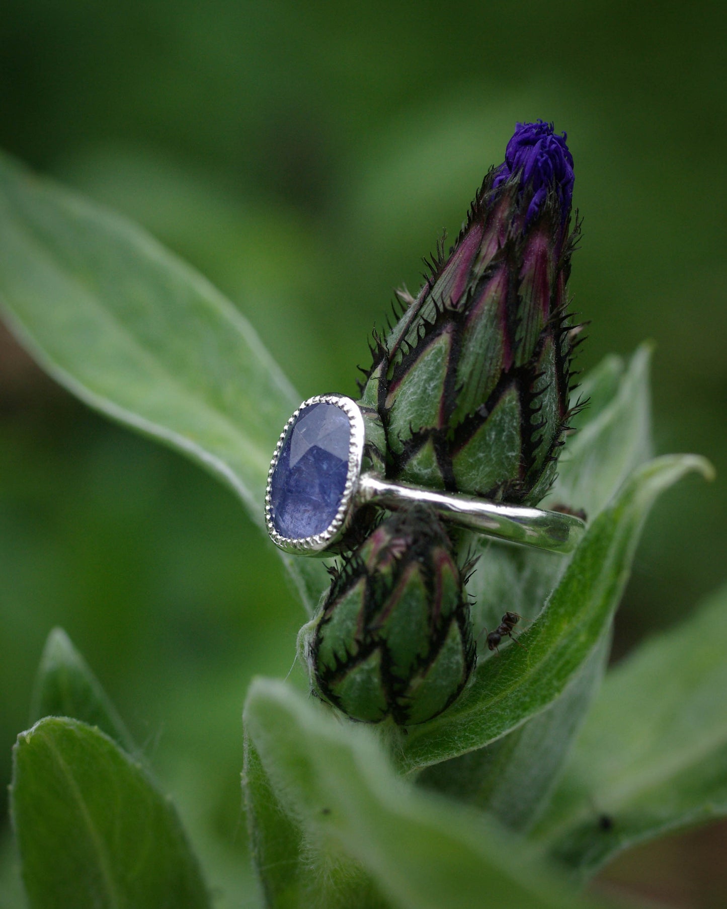 Bague tanzanite asymétrique & perlée 52FR – mini-collection Violet