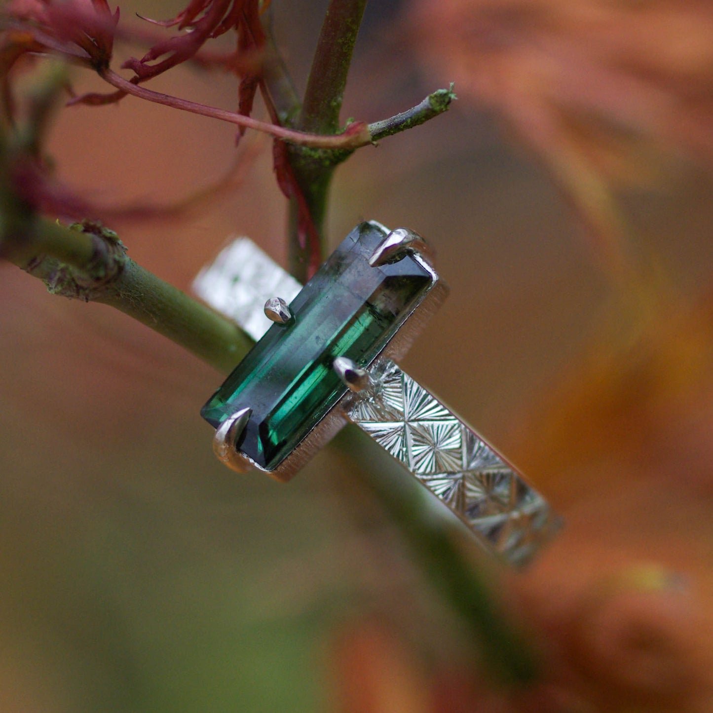 Bague en argent gravée avec tourmaline bicolore 56FR