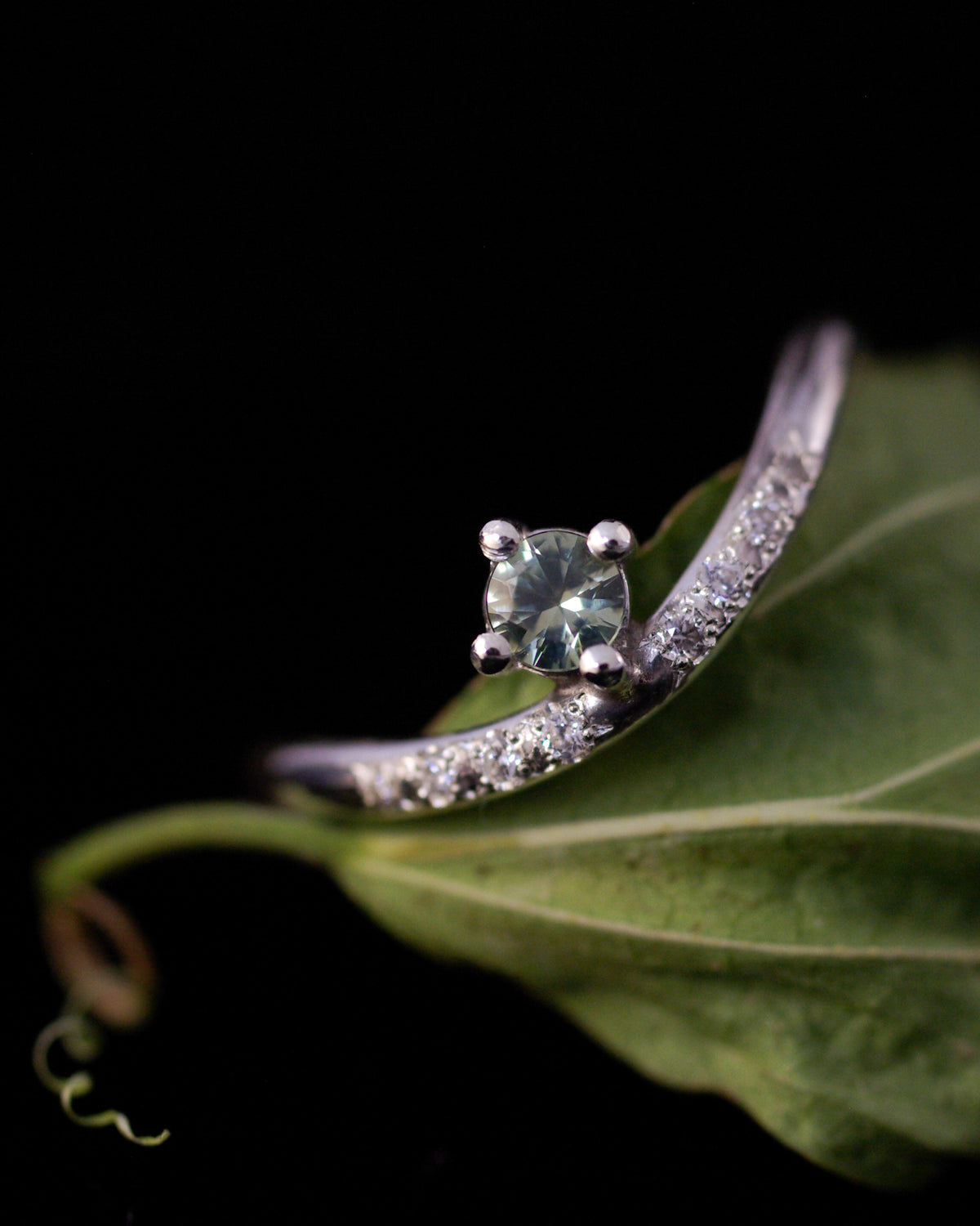 Détail des huit petits diamants sertis grain sur l’anneau ondulé d’une bague en argent