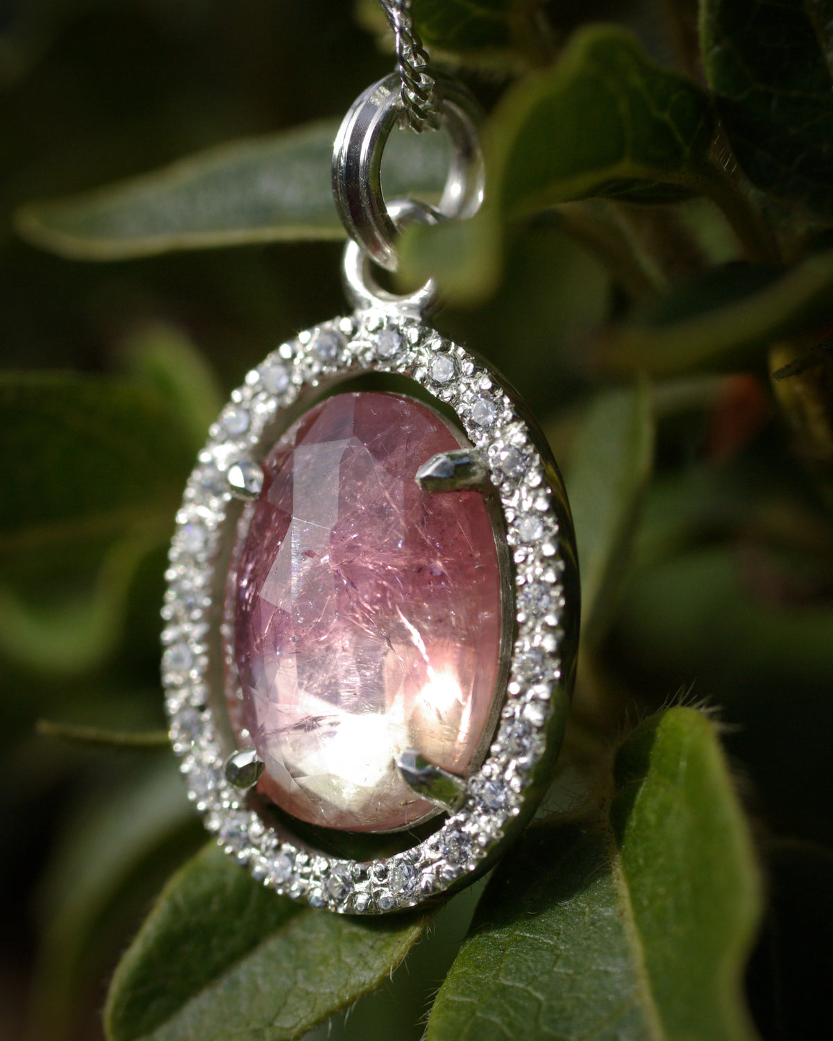 Détail de la tourmaline rose bicolore ovale, aux nuances passant du rose à la transparence